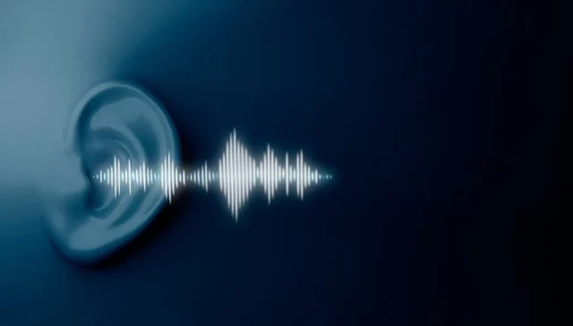 Voice.ai